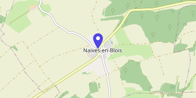 Carte OpenStreetMap — 19 Grande-Rue, Naives-en-Blois