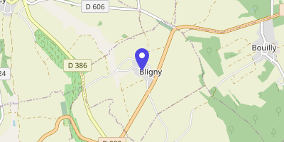 Carte OpenStreetMap — Rue de la Barbe-aux-Cannes, Bligny