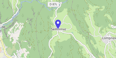Carte OpenStreetMap — 21 rue des Alinières, Seillonnaz