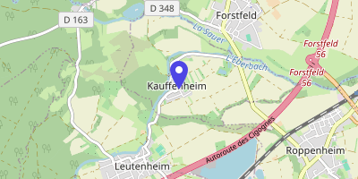 Carte OpenStreetMap — 6 rue Principale, Kauffenheim