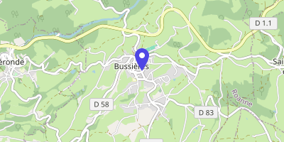 Carte OpenStreetMap — 10 rue Thimonier, Bussières