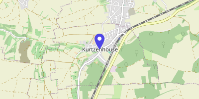Carte OpenStreetMap — 29 rue Principale, Kurtzenhouse