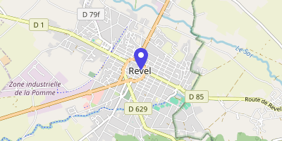 Carte OpenStreetMap — 20 rue Jean-Moulin, Revel