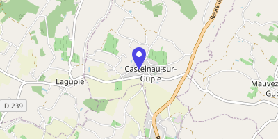 Carte OpenStreetMap — 307 rue de la Halle, Castelnau-sur-Gupie