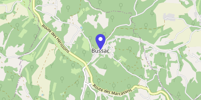 Carte OpenStreetMap — 594 route des Pèlerins, Bussac