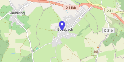 Carte OpenStreetMap — 117 rue Jeanne-d'Arc, Bousbach