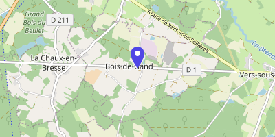 Carte OpenStreetMap — 1017 rue Principale, Bois-de-Gand
