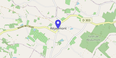 Carte OpenStreetMap — 10 rue Principale, Réjaumont
