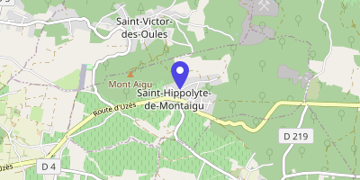 Carte OpenStreetMap — 250 Chemin des Sources, Saint-Hippolyte-de-Montaigu