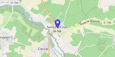 Carte OpenStreetMap — 1 rue du Champ-de-Foire, Saint-Fort-sur-le-Né