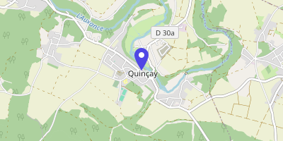 Carte OpenStreetMap — 8 rue des Quintus, Quinçay