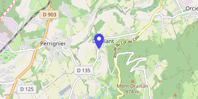 Carte OpenStreetMap — 1305 route du Prieuré, Draillant
