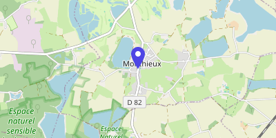 Carte OpenStreetMap — 781 Grande rue, Monthieux