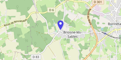 Carte OpenStreetMap — 4 rue du Puits, Briosne-lès-Sables