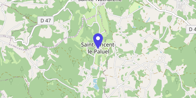 Carte OpenStreetMap — 17 place du Professeur-Jean-Lassner, Saint-Vincent-le-Paluel