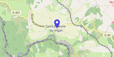 Carte OpenStreetMap — 124 rue de l'Église Saint-Etienne, Saint-Étienne-du-Vigan