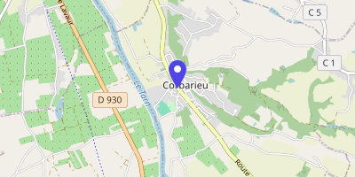 Carte OpenStreetMap — 16 rue Jean-Jaurès, Corbarieu