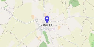 Carte OpenStreetMap — 311 rue de Vittel, Lignéville