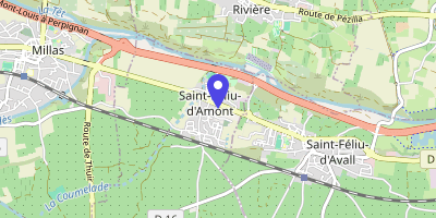 Carte OpenStreetMap — Espace Christian-Bourquin, Saint-Féliu-d'Amont