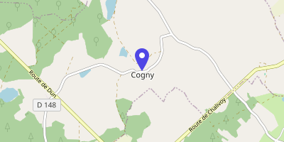 Carte OpenStreetMap — Rue du Gué-de-l'Aubray, Cogny