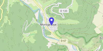 Carte OpenStreetMap — 8 rue Ville-Haute, Montgesoye
