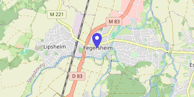 Carte OpenStreetMap — 50 rue de Lyon, Fegersheim