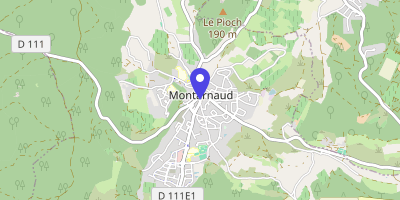Carte OpenStreetMap — 80 avenue Gilbert-Sénes, Montarnaud