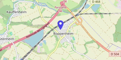 Carte OpenStreetMap — 2 rue de l'Or, Roppenheim