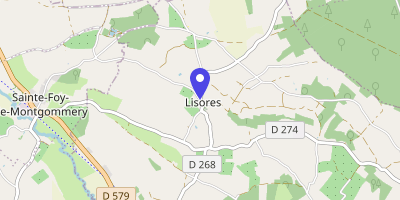 Carte OpenStreetMap — 659 rue Julie-Manet, Lisores