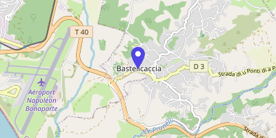 Carte OpenStreetMap — 15 lieu dit cumunu, Bastelicaccia