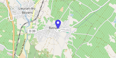Carte OpenStreetMap — 17 chemin Neuf, Bassan