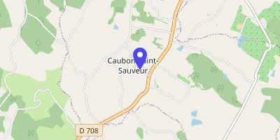 Carte OpenStreetMap — 216 route de la Mairie, Caubon-Saint-Sauveur