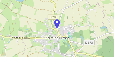 Carte OpenStreetMap — 7 place de la Mairie, Pierre-de-Bresse