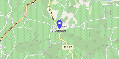 Carte OpenStreetMap — 1597 route de Damis, Sainte-Foy-la-Longue