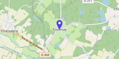 Carte OpenStreetMap — 6 place du Marronnier, Foulenay
