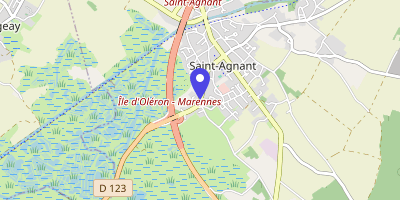 Carte OpenStreetMap — 76 avenue Charles-de-Gaulle, Saint-Agnant