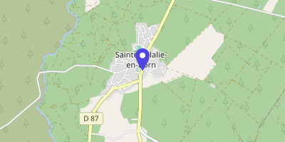 Carte OpenStreetMap — 81 rue du Lavoir, Sainte-Eulalie-en-Born