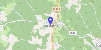 Carte OpenStreetMap — 1705 chemin de la Reine, Beauronne