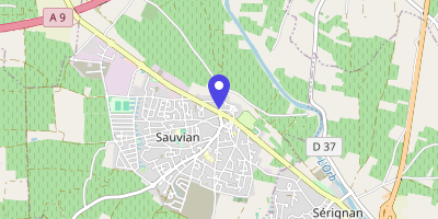 Carte OpenStreetMap — 17 avenue Paul-Vidal, Sauvian