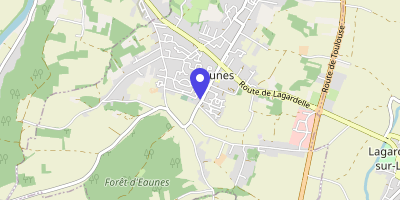 Carte OpenStreetMap — 1 place des Champs-de-Vignes, Eaunes