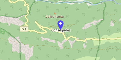 Carte OpenStreetMap — 1 place Louis-Revel, Conségudes