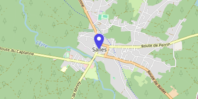 Carte OpenStreetMap — 30 rue Marguarette et Patricia Taylor, Salles