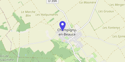 Carte OpenStreetMap — Champigny-en-Beauce