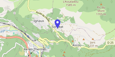 Carte OpenStreetMap — 10 avenue de la Pinouze, Sorgeat