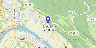Carte OpenStreetMap — 117 Grande rue, Saint-Sorlin-en-Bugey