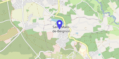 Carte OpenStreetMap — 24 rue de la République, Saint-Malo-de-Beignon