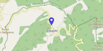 Carte OpenStreetMap — Le Village, Erbajolo