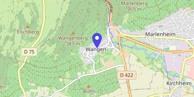 Carte OpenStreetMap — 44 rue des Vignerons, Wangen