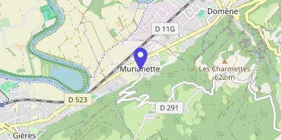 Carte OpenStreetMap — 266 montée du Champ-de-la-Vigne, Murianette