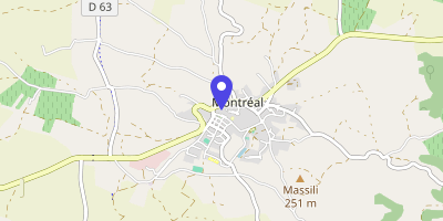 Carte OpenStreetMap — 2 Rue de la Mairie, Montréal